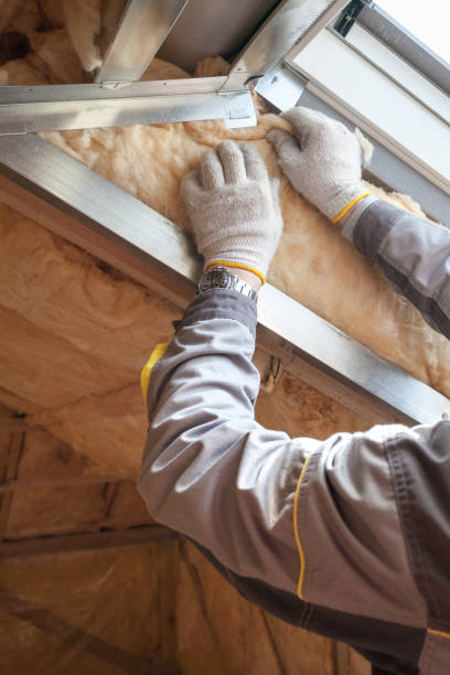 Best Cellulose Insulation in Pleasanton, KS